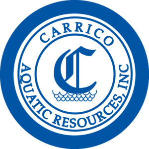 Carrico